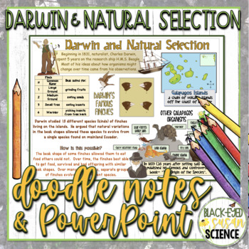 Preview of Darwin and Natural Selection Doodle Notes & Quiz + PowerPoint