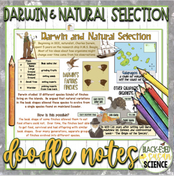 Preview of Darwin and Natural Selection Doodle Notes & Quiz
