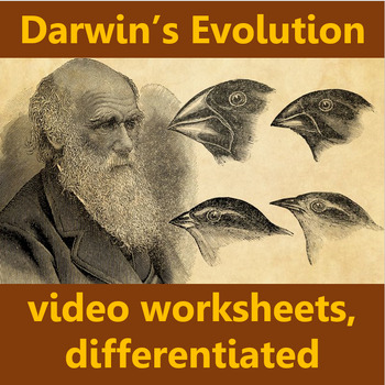 Preview of Darwin's Idea: video worksheets, differentiated