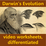 Darwin's Idea: video worksheets, differentiated