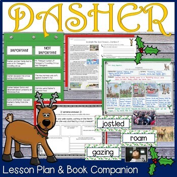 Preview of Dasher by Matt Tavares Lesson and Book Companion