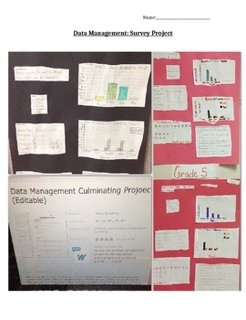 Preview of Data Management Culminating Project and Rubric (Editable)