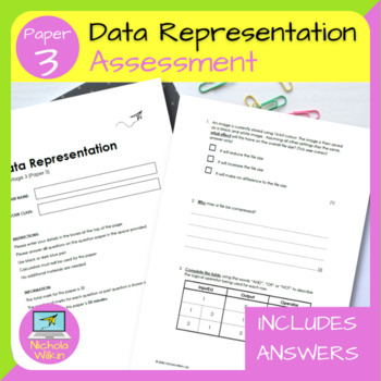 Preview of Data Representation Assessment Paper 3