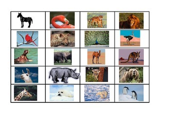 Preview of Data Set: Animals Around the World