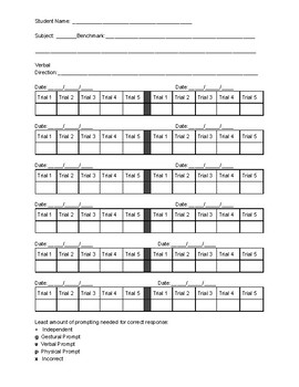 Data Sheet for Discrete Trial Training by Creating Abilities | TPT