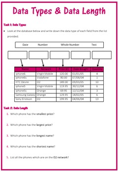Preview of Databases - Datatype & Data Length Activity Sheet (Microsoft Access)