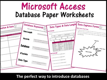 Preview of Databases Worksheets (Microsoft Access)
