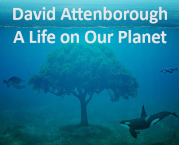 Preview of David Attenborough: A Life on Our Planet Movie Questions | Guide | Worksheet
