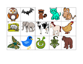 Day and Night Animal Sort