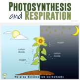 Plants Unit: Photosynthesis and Respiration No-prep Scienc
