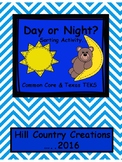 Day and Night Sorting Activity