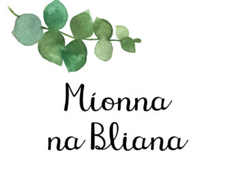 Preview of Irish Days, Months and Seasons- As Gaeilge (Míonna, Laethanta agus na Séasúr)