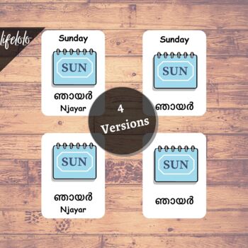 First Words MALAYALAM Version English Bilingual Cards 48 