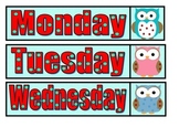 Days of the Week - Owl