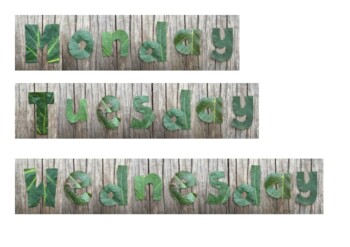 Preview of Days of the week with real leaf letters