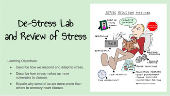 Preview of De-Stress Lab