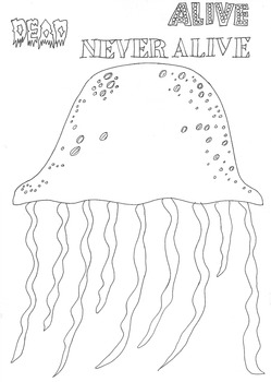 Preview of Dead, Alive, Never Lived: Ocean Theme: Jellyfish Worksheet to Colour In