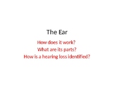 Deaf Culture: Ear Anatomy Lesson 1