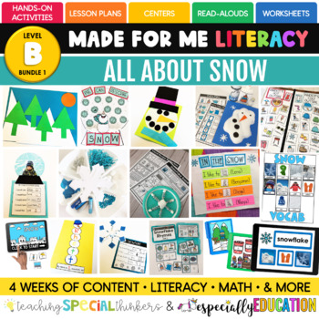 Preview of December: All About Snow (Made For Me Literacy)