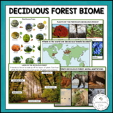 Deciduous Forest Biome Characteristics, Animal and Plant A