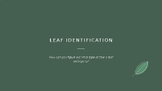 Deciduous Leaf Identification PowerPoint
