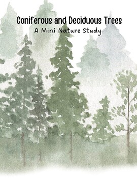 Preview of Deciduous and Coniferous Trees Mini Study