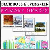 Deciduous and Evergreen Trees l Non-Fiction Literacy, Science