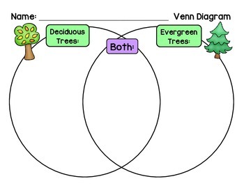 Preview of Deciduous or Evergreen - Compare and Contrast Venn Diagram