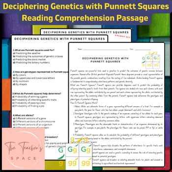 Preview of Deciphering Genetics with Punnett Squares Reading Comprehension Passage