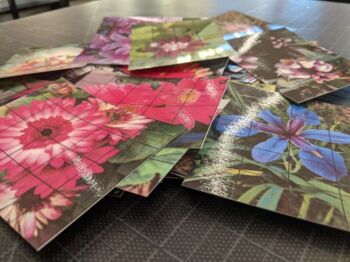 Preview of Reference photos: FLOWERS - DECK 2 (copyright free)