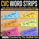 Decodable CVC Word Fluency Strips