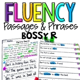 Decodable Fluency Passages and Phrases R-Controlled Vowels