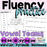 Decodable Fluency Sentence Pyramids - Vowel Teams Vowel Digraphs