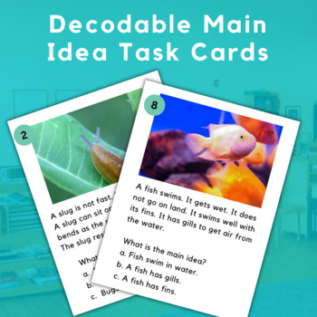 Preview of Decodable Main Idea Task Cards