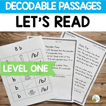Preview of Decodable Passages for Orton-Gillingham Lessons Level 1