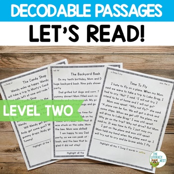 Preview of Decodable Passages for Orton-Gillingham Lessons Level 2