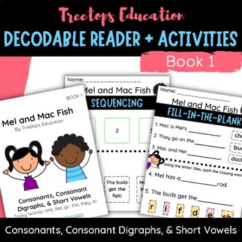 Preview of Decodable Pocket Reader #1 (Consonants and Short Vowels)
