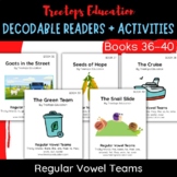 Decodable Pocket Readers #36-40: Regular Vowel Teams