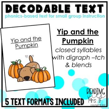 Preview of Decodable Reader: Yip and the Pumpkin (closed syllables, blends, digraph -tch)