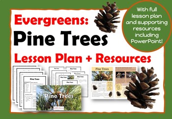 Preview of Pine Trees: Evergreens: Mini Project with Lesson Resources and Reading Passages