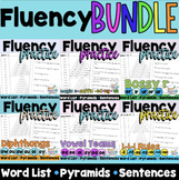 Decodable Sentence Pyramids/Fluency BUNDLE