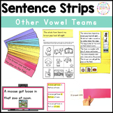 Decodable Sentence Strips: Other Vowel Teams