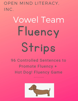 Preview of Decodable Sentences: Vowel Teams Orton-Gillingham