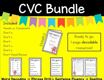 Preview of BUNDLE! Decodable Short Vowel CVC - words, phrases, sentences, spelling - OG