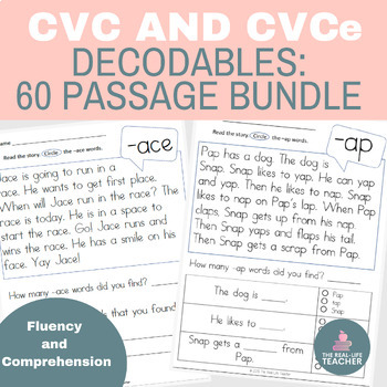 Preview of Decodable Passages: 60 Different CVC and CVCe Silent E Word Family Readers