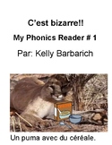Decodable Text in French - C'est bizarre