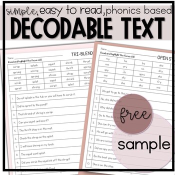 Preview of Decodable Texts for Science of Reading Phonics Fluency Practice FREE SAMPLE