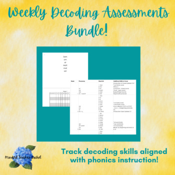 Preview of Decoding Assessments Bundle