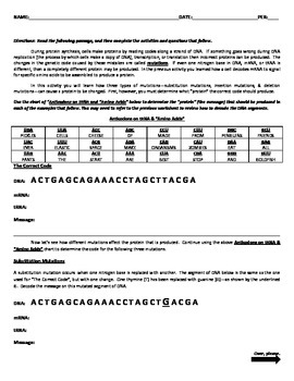 decoding protein synthesis answer sheet