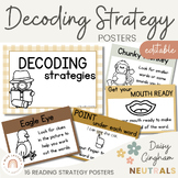 Decoding Reading Strategies Posters | Daisy Gingham Neutrals